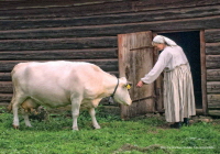 Budeiekalenderen 2012